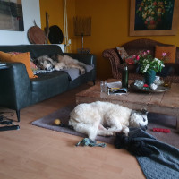 /album/198/whatsapp-image-2025-11-29-at-12-27-33-jpeg/